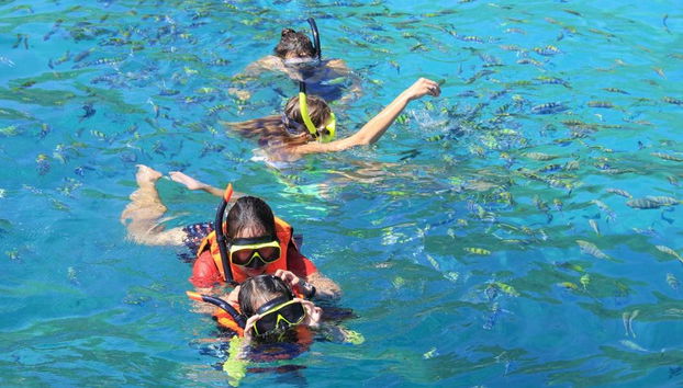 Phi Phi Island Tour - Foto 3